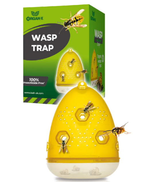 Wasp Trap